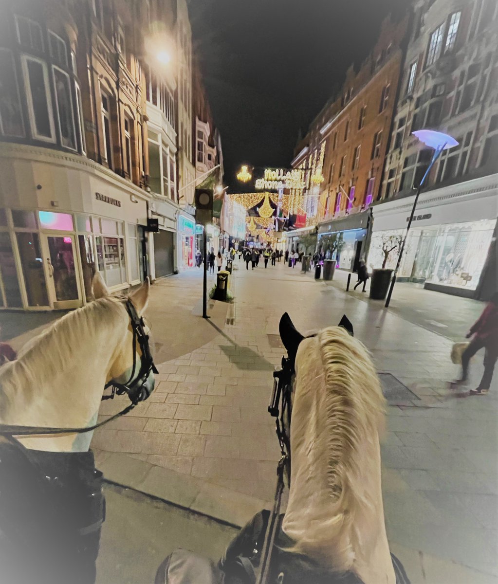 GardaTraffic's tweet photo. Our Garda Mounted Unit keeping an eye on Grafton Street this evening 🐴

We have an enhanced policing plan in place this evening and Dublin City Centre is open for normal business.

 #KeepingPeopleSafe https://t.co/sic0ti3XyM
