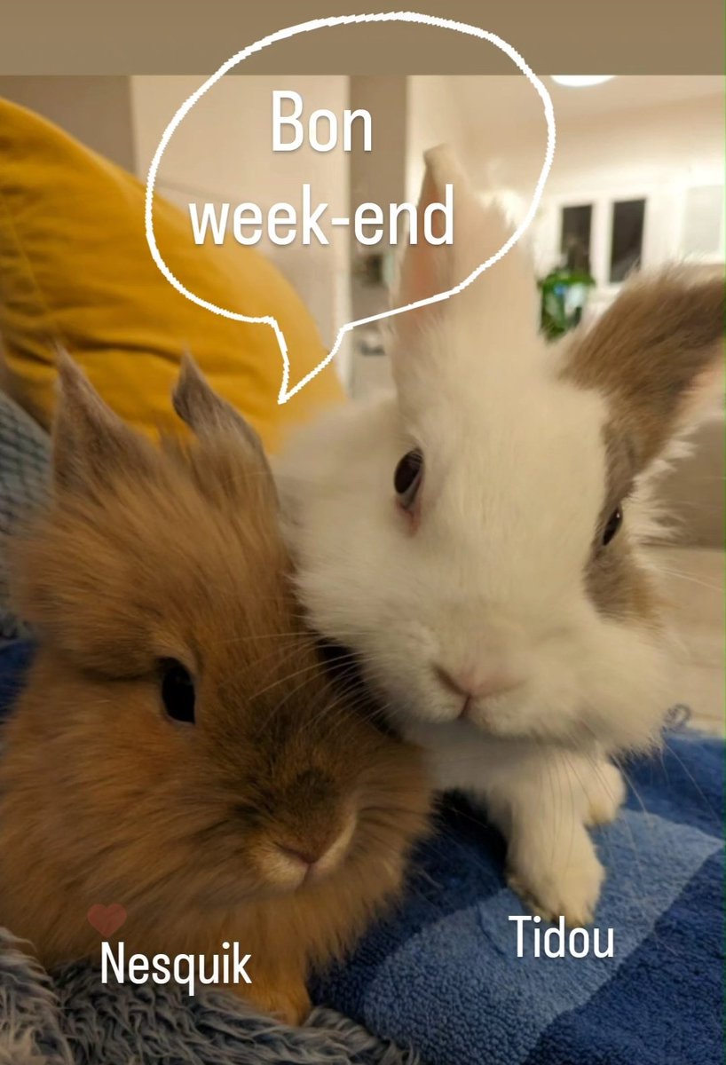 MC en Maternelle (@mc_enmaternelle) on Twitter photo 