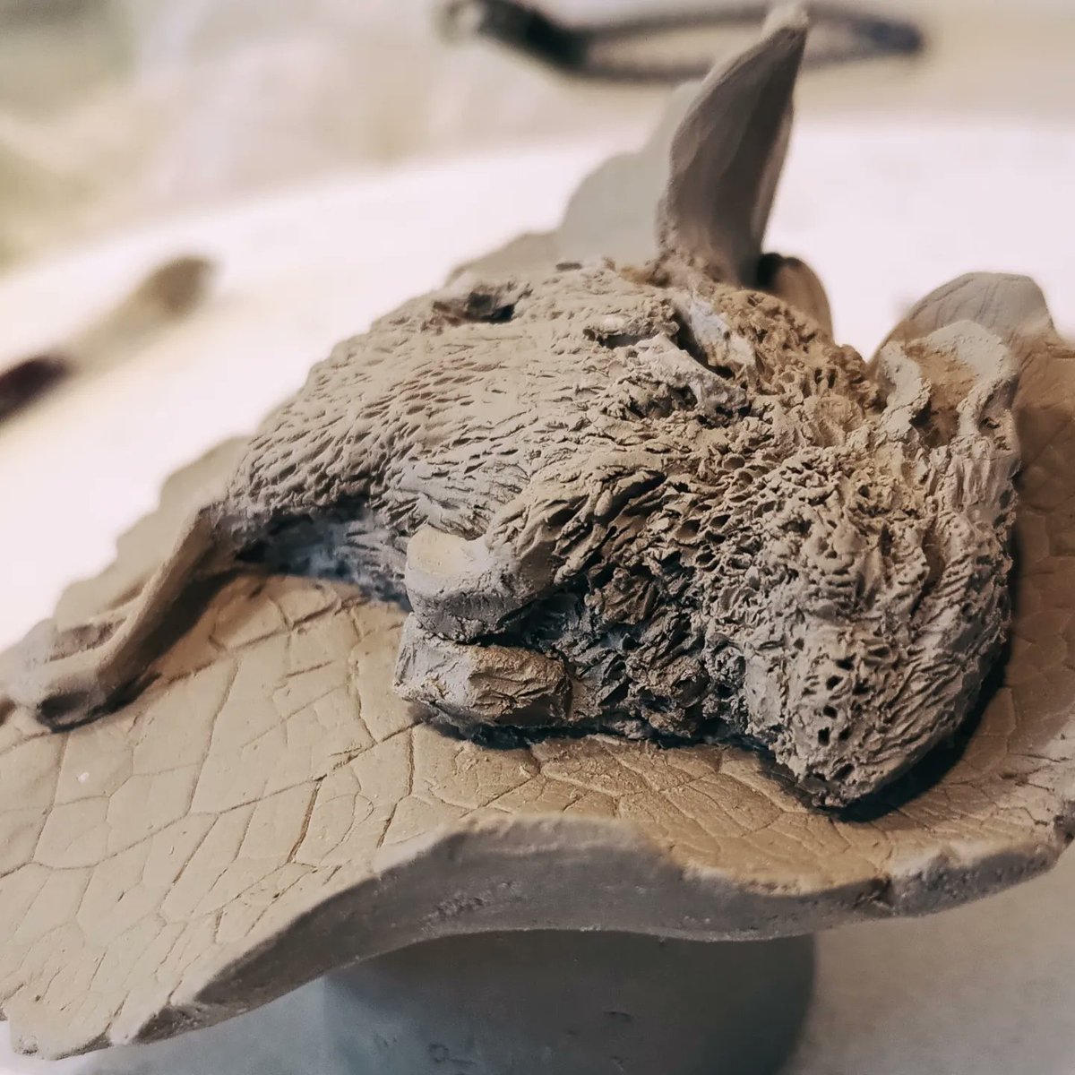 #Clay #building #process