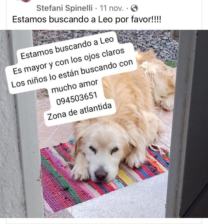 Adriana43587622's tweet photo. https://t.co/UsPbk4VgIg