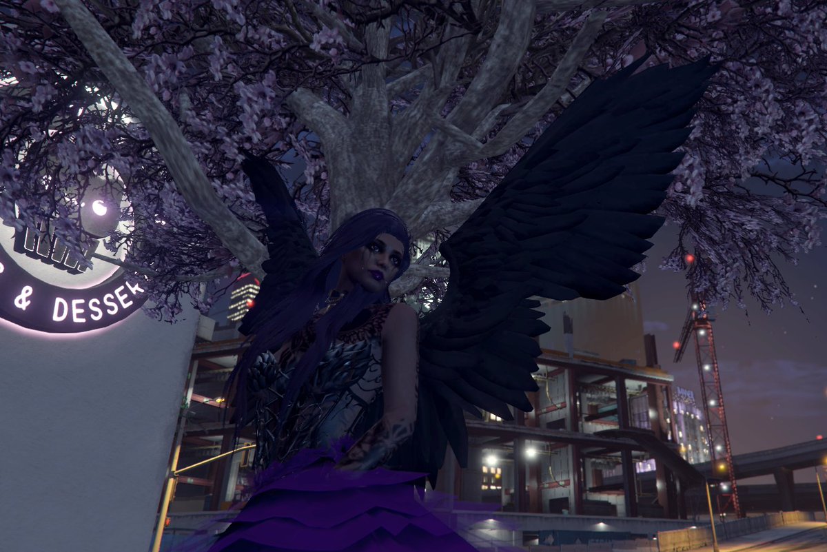 Imηαmα tweet media