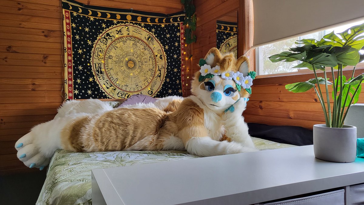 Easy breezy beautiful Covergirl #FursuitFriday 🫠
▫️▫️▫️▫️▫️▫️▫️▫️▫️▫️
Suit: <a href="/Maria_Valentic/">💫Vixens_Creations💫</a>