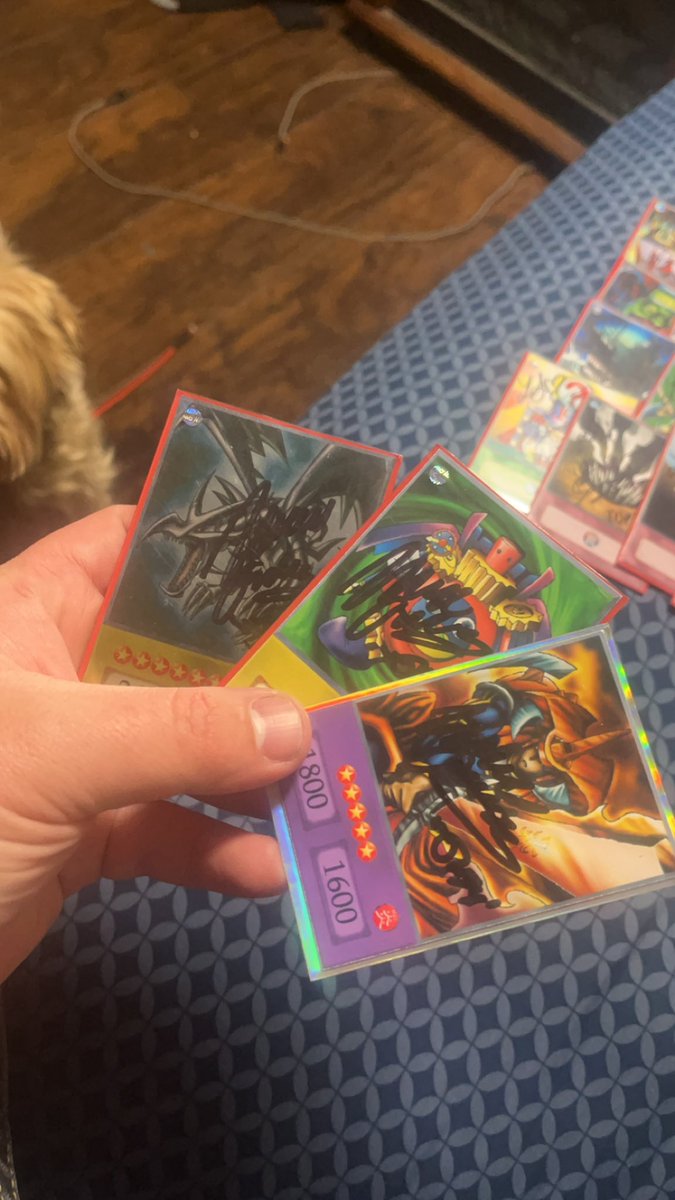 crushcardsygo tweet picture