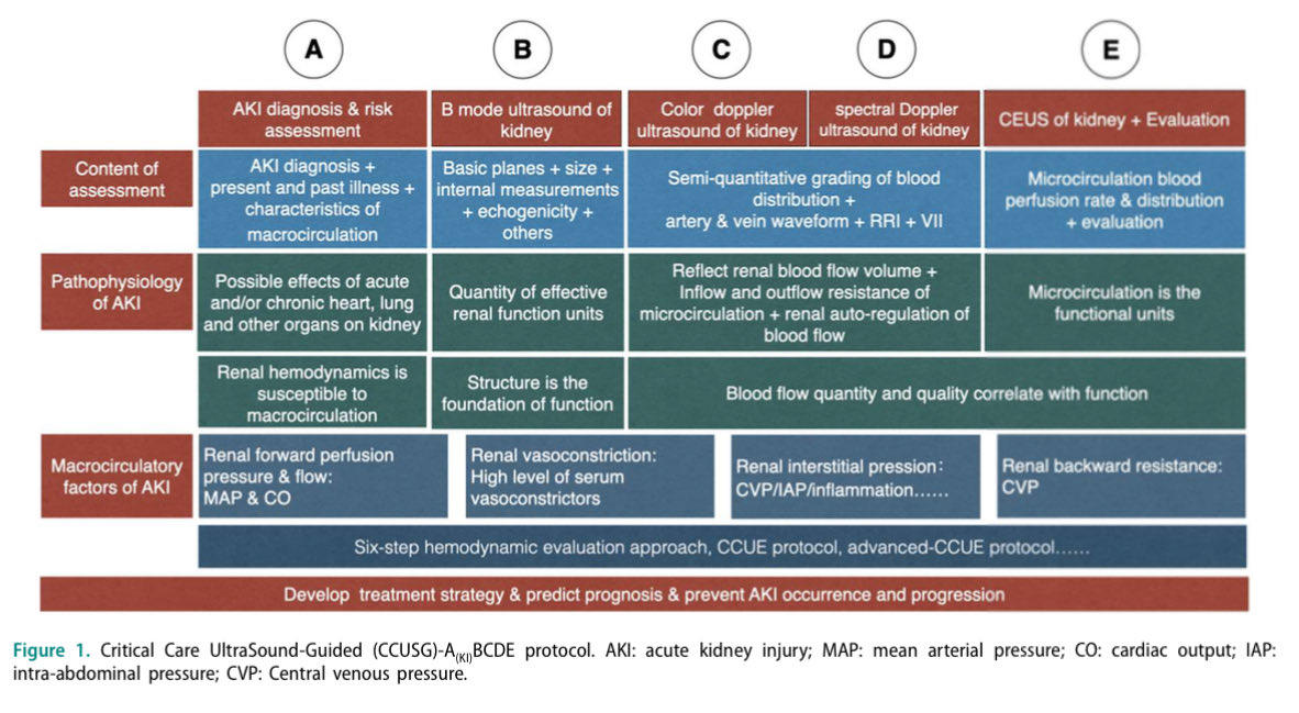 En lesión renal aguda, el ultrasonido a pie de cama es una herramienta diagnóstico muy importante. Aquí nos orientan para identificar desde lo más básico de la morfología, hasta lo complejo de la perfusión tisular

Protocolo A(KI)BCDE

Ren Fail 2023
10.1080/0886022X.2023.2284842