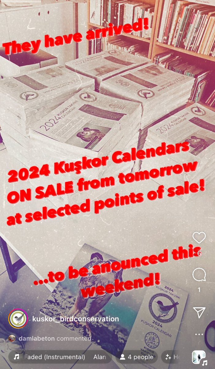 Kuşkor tweet media