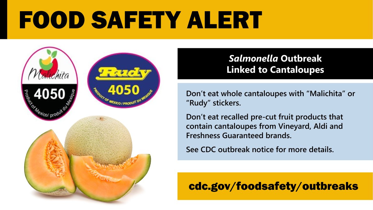 Whole and Pre-Cut Cantaloupe Recalled From Aldi and Other Stores in 32  States Due to Salmonella Outbreak