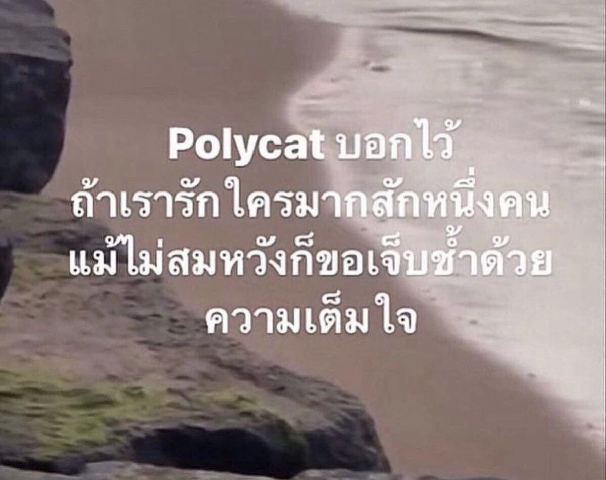 ช่างแม่ง🐰🏳️🌈 tweet media