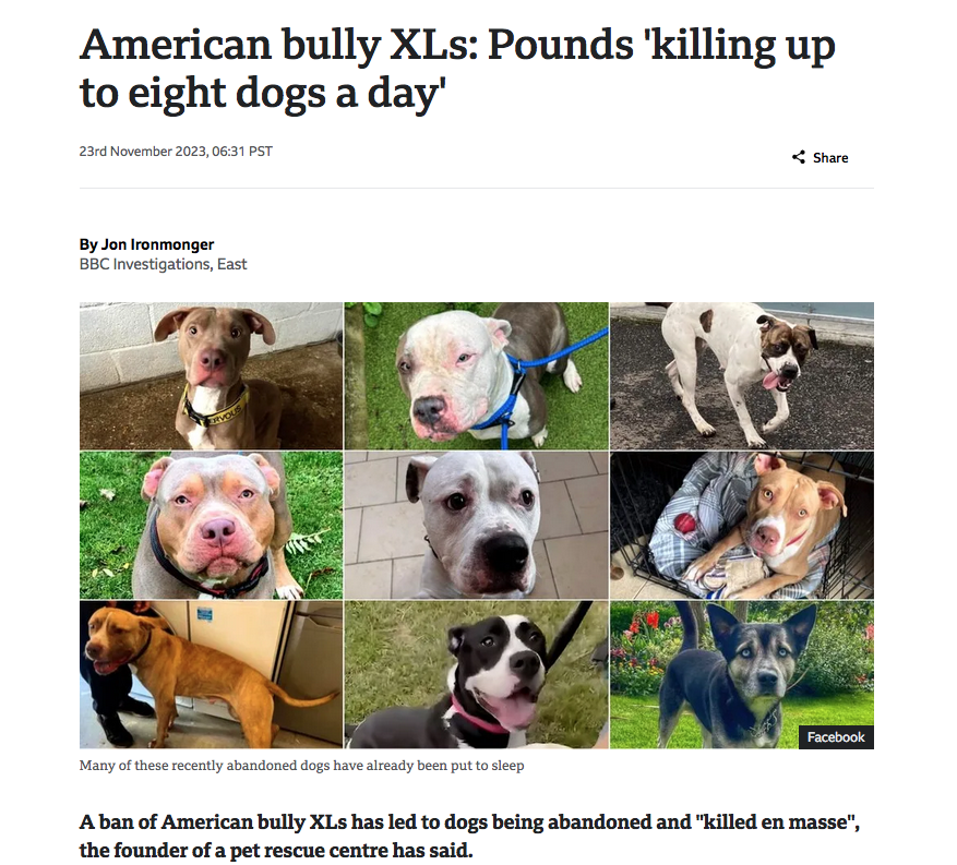 🆘Urgent: Crisis in the UK - #XLBullyBan Impacting Lives 🆘

Dear friends and fellow dog lovers,

I come to you with a heavy heart as we face an appalling crisis in the UK that demands our immediate attention and collective action. The XL Bully Ban is wreaking havoc in the UK ,