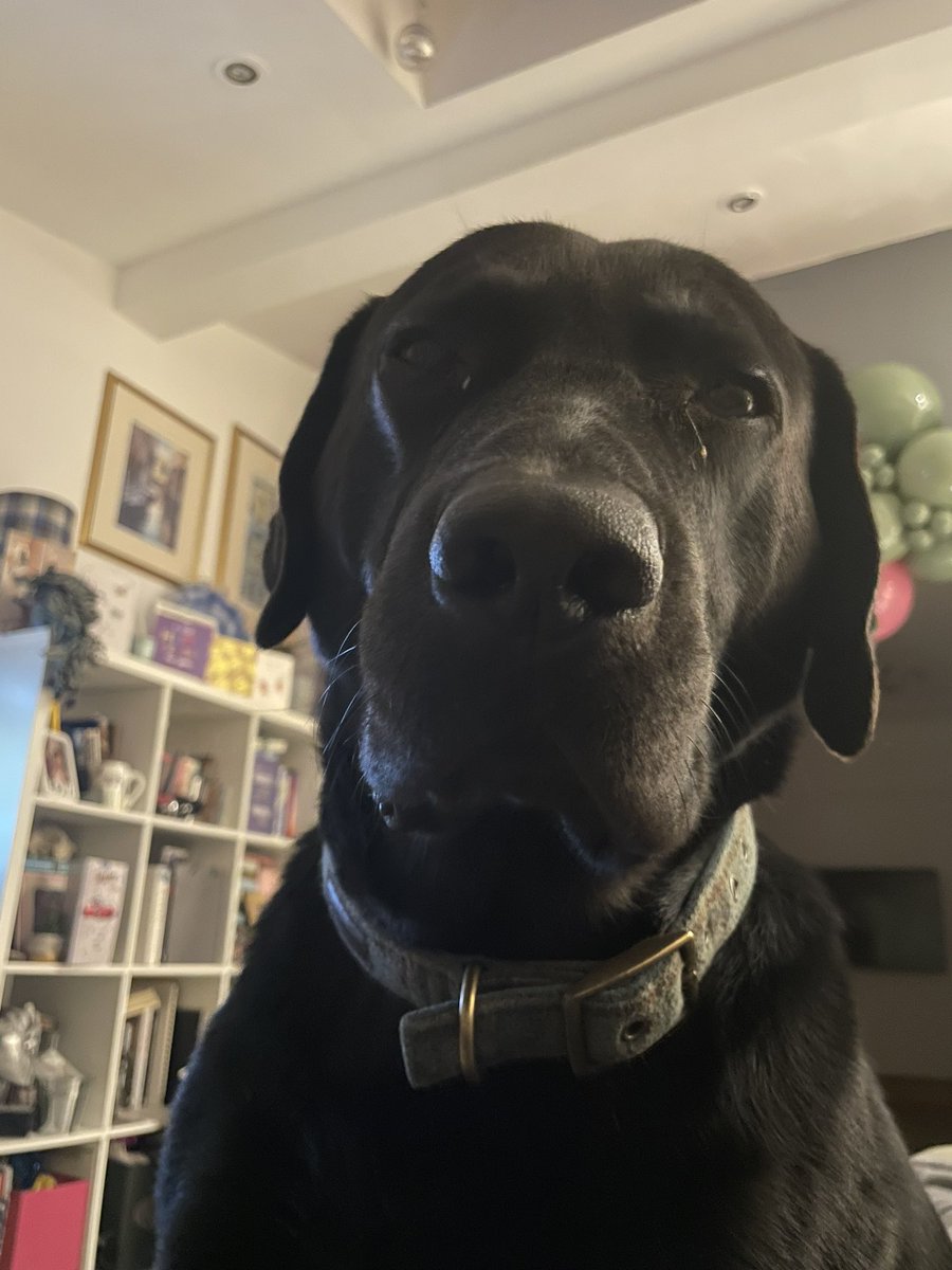 ⚓️ Dr Vic Carr ⚓️ tweet media