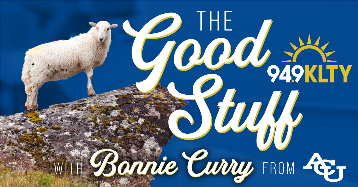 949KLTY's tweet image. Today on #TheGoodStuff with @BonnieOnAir from @ACUedu, learn how a town came together to rescue a very lonely sheep in Scotland. It's a story of bravery &amp;amp; will make your heart smile all day! 😊🐑 👉 p.ftur.io/klty/874 #liftyourspirit #klty