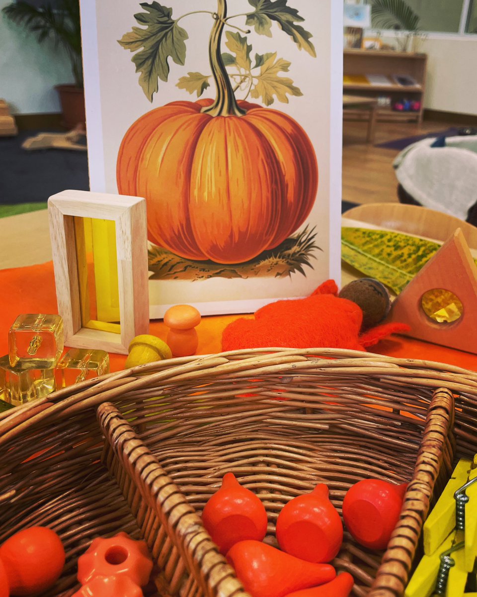 Peter Lindley tweet media