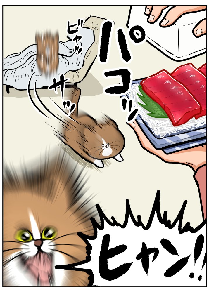 安否確認した時の日記 