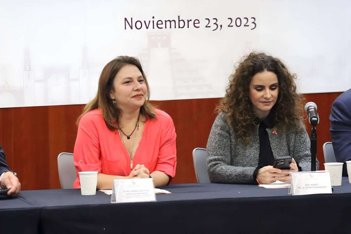 MaraCastillo22's tweet photo. Desde el @senadomexicano con mucho orgullo y emoción, pude platicar de los trabajos que estamos haciendo en nuestro estado por las mujeres. https://t.co/6HFCZpUaeB