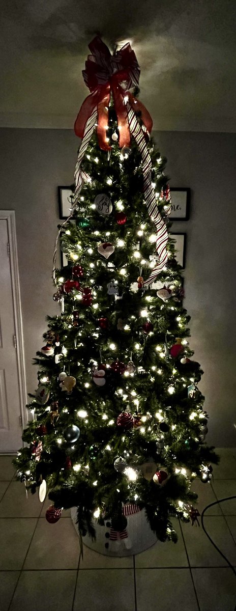 We go from Thanksgiving to Christmas real quick around here! I hope everyone had a great Thanksgiving, I know we did!