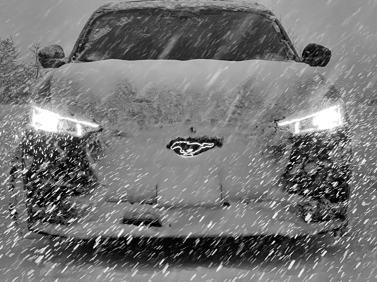 Kevin Shaughnessy tweet media