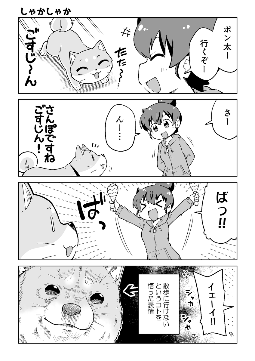 さんぽに行きたいポン太のマンガ  #ごすじん大好きポン太の憂鬱 #漫画が読めるハッシュタグ