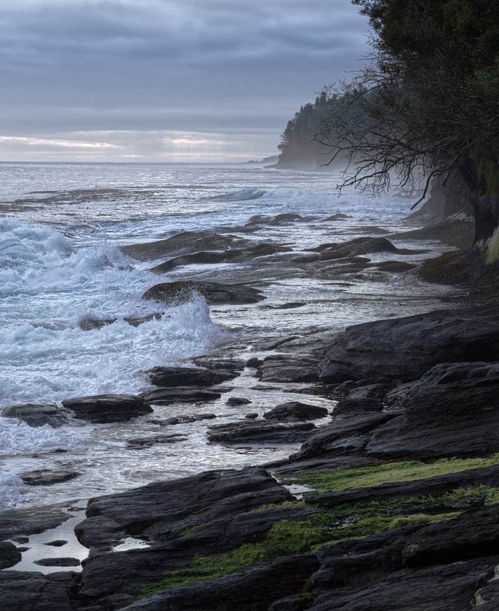 Been stepping up my landscape photography game. Here's 4 from my Olympic National Park trip in September.