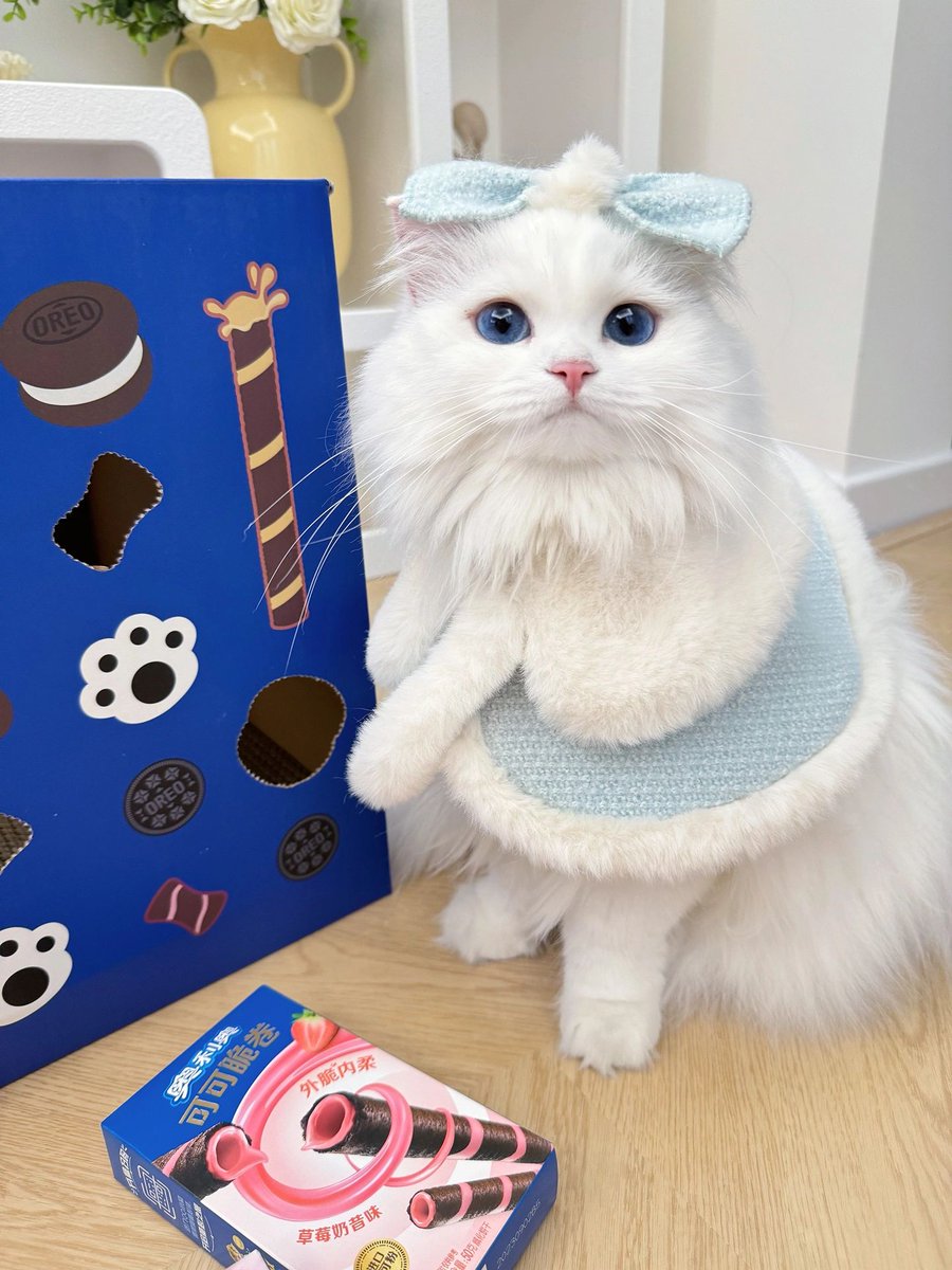 これは最もおとなしくて、とても協力的です