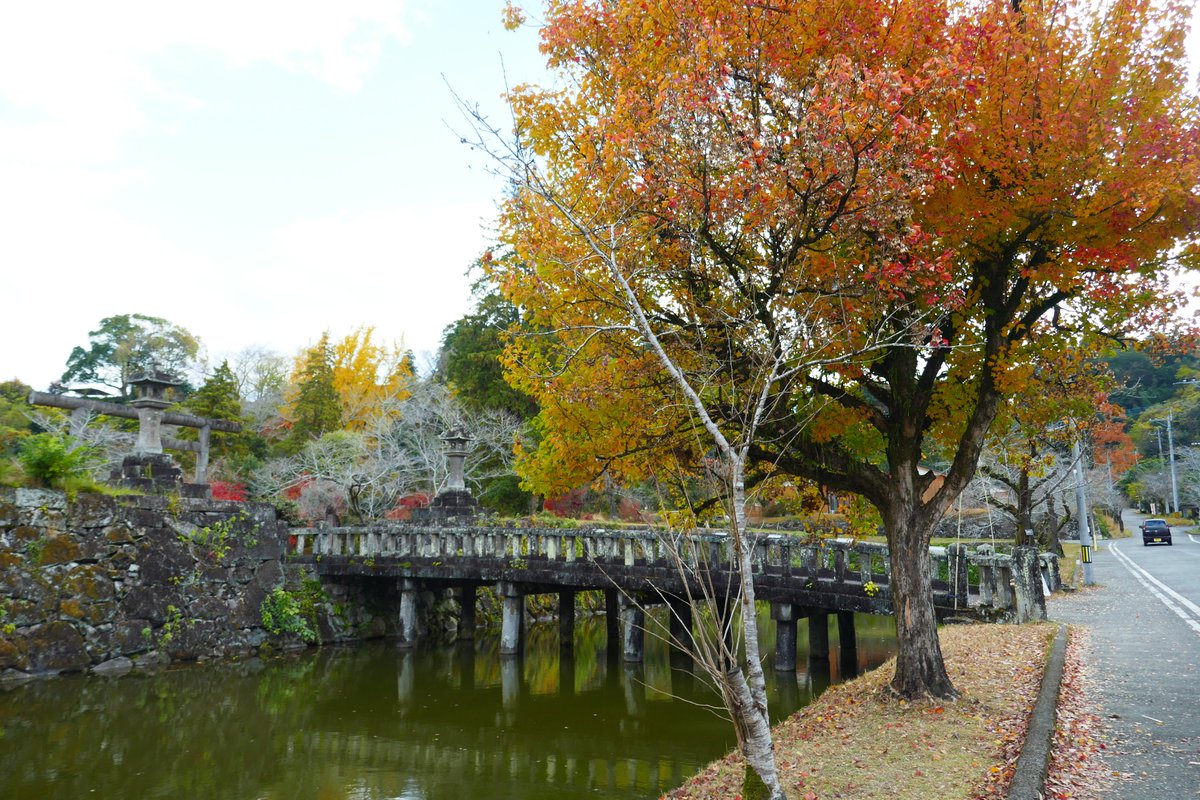 せっかくなので紅葉をのせよう…