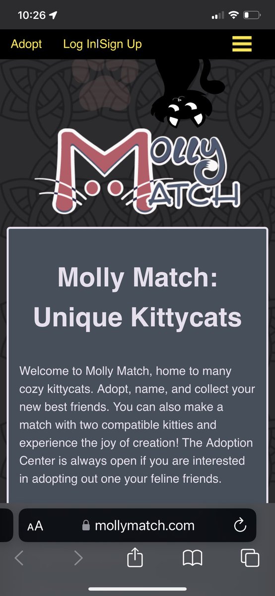 Molly Match tweet media