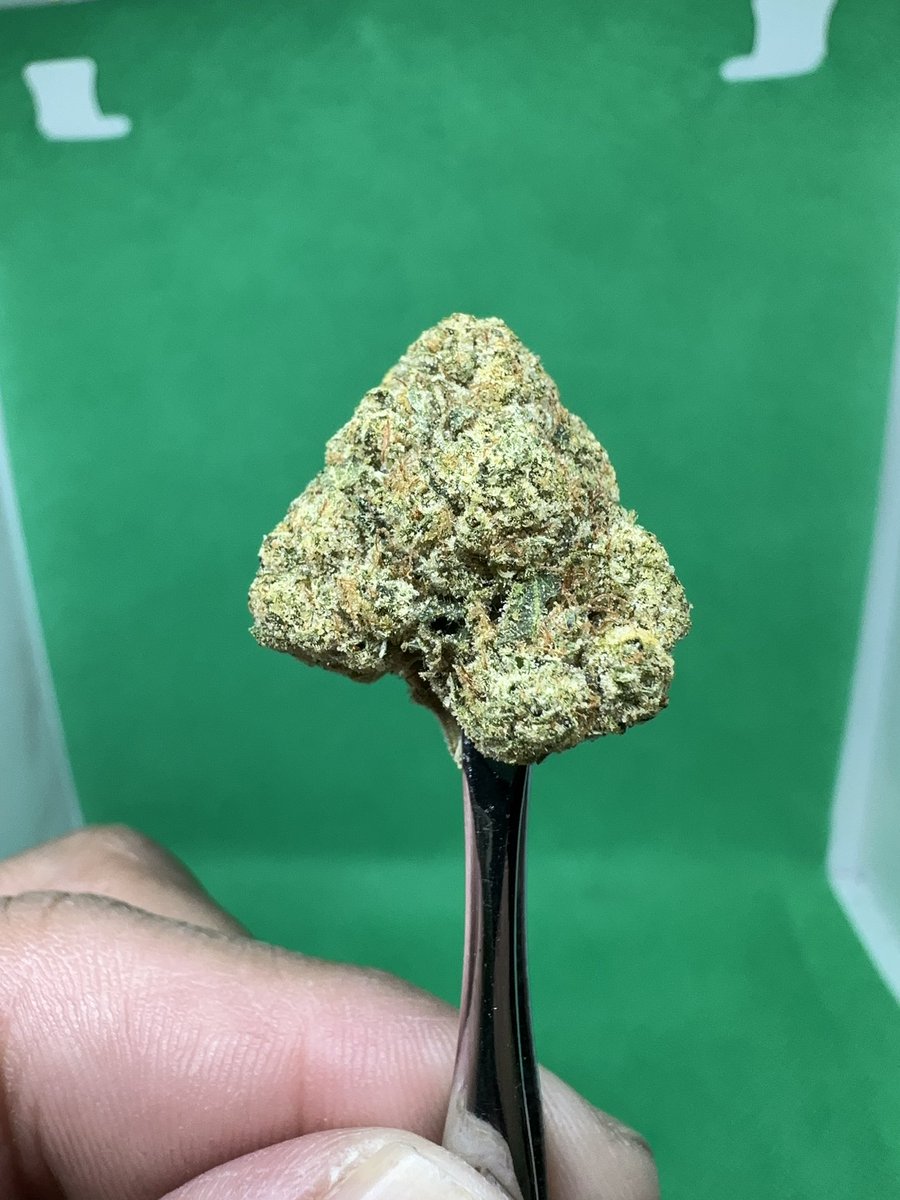 ehonda500mob's tweet photo. Photo Dump of White Walker OG [SFV OG x Lemon OG] from Rythm

THCa: 27.48%
Terps: 2.96%

Dominant Terps:
Limonene: 0.80%
Myrcene: 0.48%
Caryophyllene: 0.46
Linalool: 0.39%

Flavor Profile:
OG’s &amp; Gas https://t.co/nUG3OjemCh