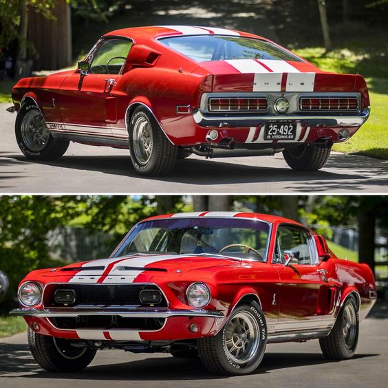 AmericanMusclePower tweet media