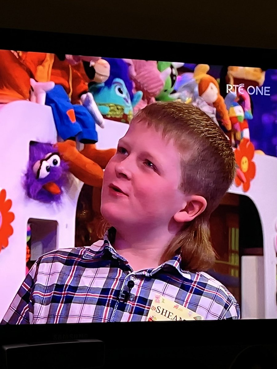 IN MULLET WE TRUST #LateLateToyShow