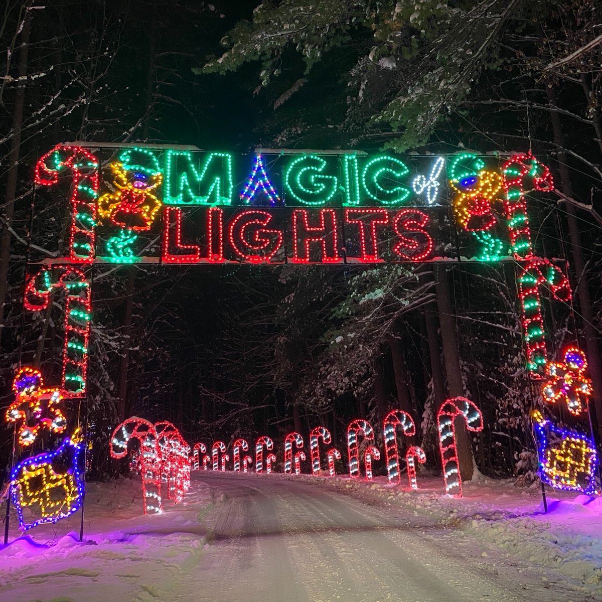 Magic of Lights event is back on!
Enjoy this magical holiday drive-through light display until January 6th at Springwater Provincial Park. 

For tickets, times, and information please visit: magicoflights.com/barrie

#ontarioparks #springwater #midhurst #barrie #magicoflights