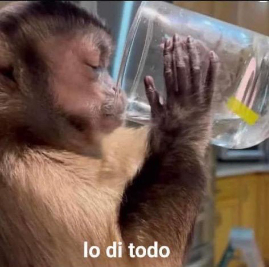 yo dándole like a su historia para que me hable