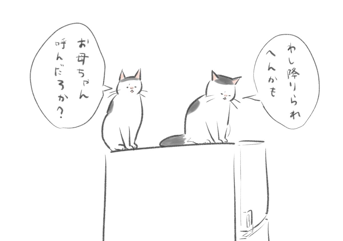 おはようございます。週末とはいえ浮かれず穏やかな気持ちで過ごしたいと思います。 