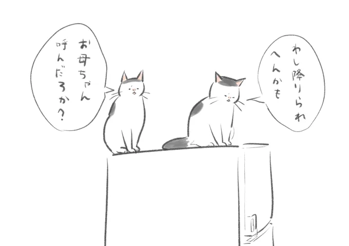 おはようございます。週末とはいえ浮かれず穏やかな気持ちで過ごしたいと思います。 