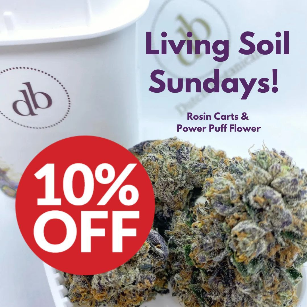SimplyPureMJ's tweet photo. 🌄🌿It's Living Soil Sunday! Get 1⃣0⃣% off on #DutchBotanicals infused flower, grams and carts! Snag a DB battery for just 1⃣¢ w/purchase of two carts! 🌿🌄
#Denver #cannabis #dispensary #WomanOwned #cannabisindustry #CannabisCommunity #BlackOwned #VeteranOwned #IAmAPurest💚 https://t.co/WbR4dKFAFX