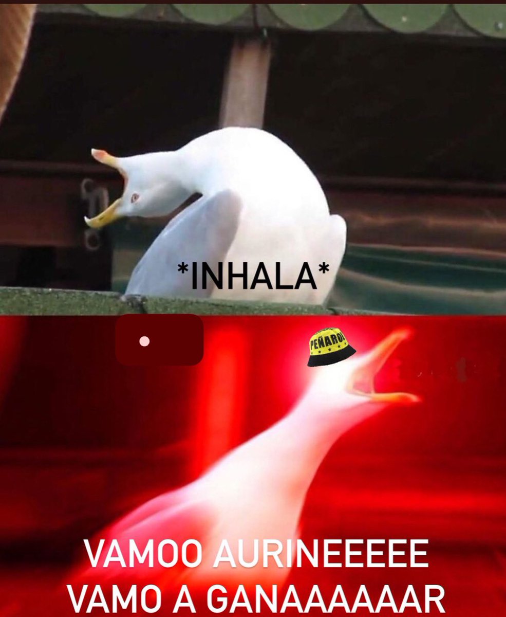 Ya no le encuentro explicación 
Pero ya no puedo parar
SI NO TE TENGOOOO
ME QUIERO MATAAAAAR