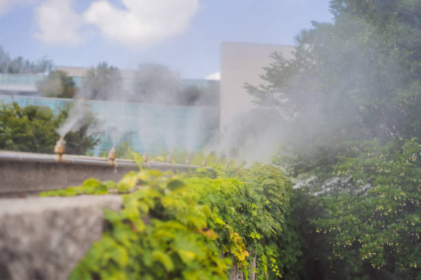 nrwayirrigation's tweet image. Beat the Texas heat with our cutting-edge misting systems! Stay cool in the outdoor oasis. Explore the benefits on our website: bit.ly/2FNOu6v #MistingMagic