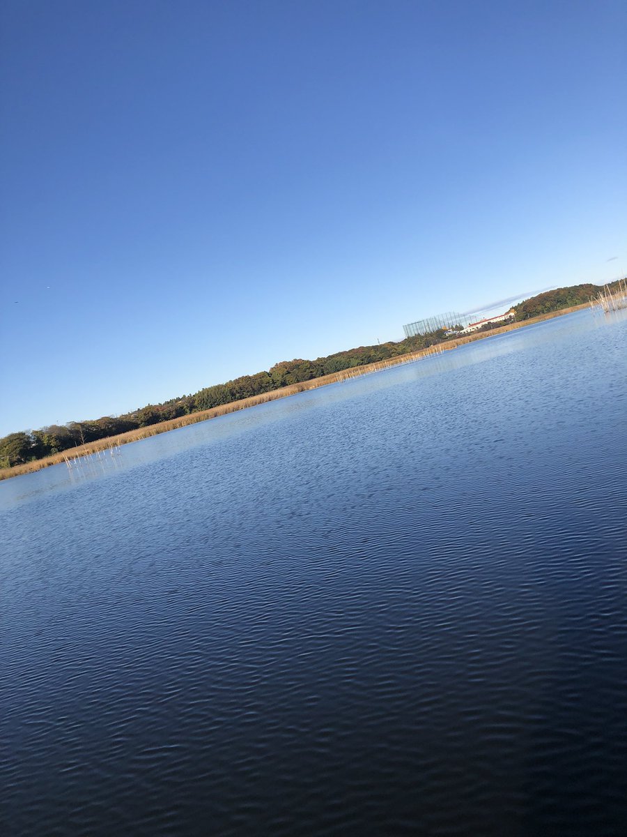 mat75700645's tweet image. さぁ、
今年も残りわずか、
楽しんでくるか〜

そう言えば、
あの有名な、お方がミシマさんに来るって言ってたなぁ〜。

#たまやボート
#牛久沼
#motorguide
#ミシマ