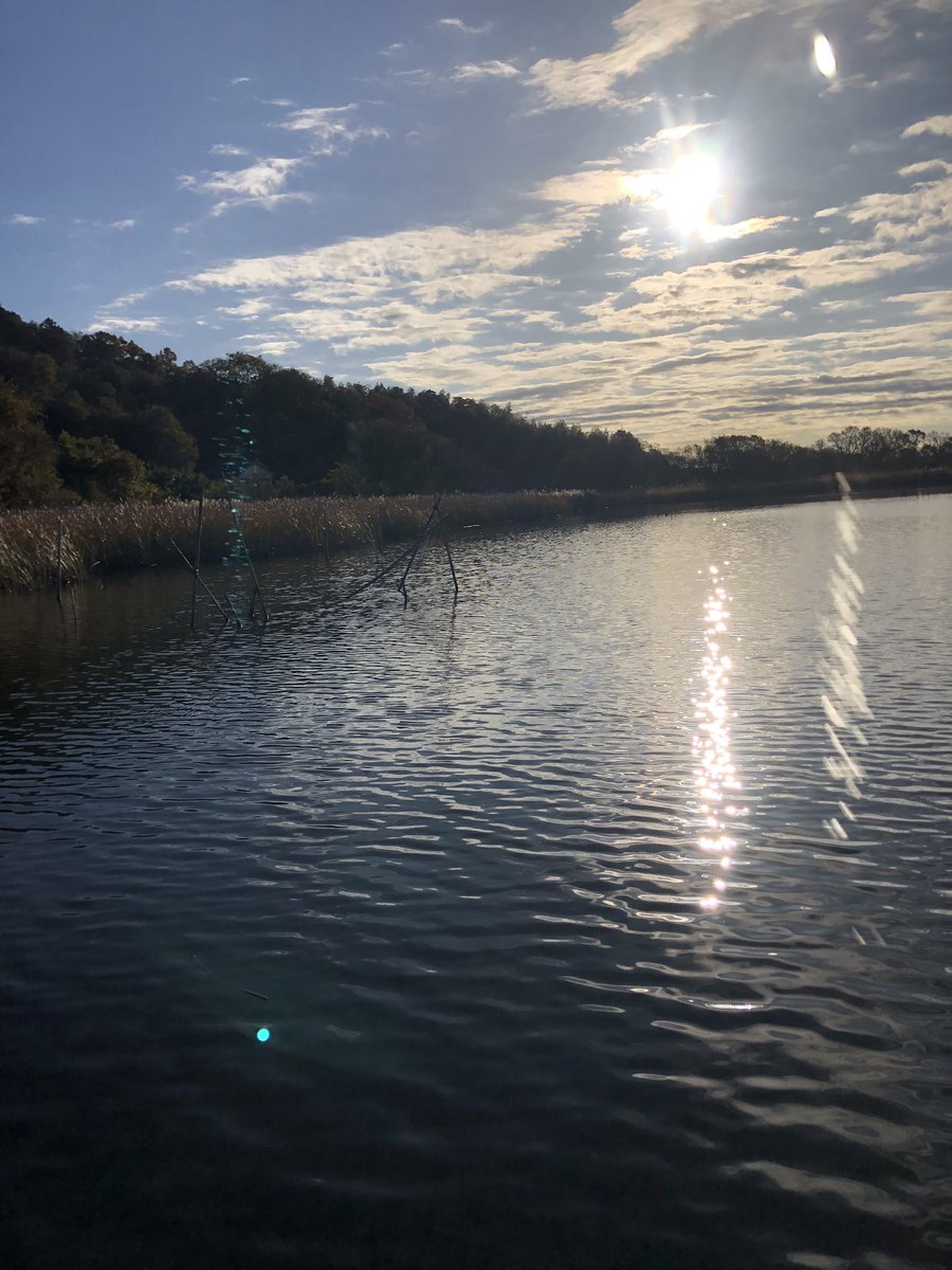 mat75700645's tweet image. さぁ、
今年も残りわずか、
楽しんでくるか〜

そう言えば、
あの有名な、お方がミシマさんに来るって言ってたなぁ〜。

#たまやボート
#牛久沼
#motorguide
#ミシマ