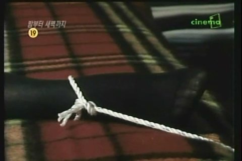 dongfangran's tweet photo. 1990年的韩国电影《밤부터 새벽까지》，少妇被出轨对象监禁的情节。
#監禁 #监禁 #緊縛 #誘拐 #拘束 #DID https://t.co/q0swsI6kwA