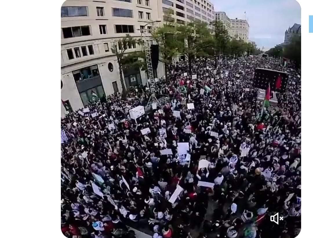 Amerika, Fransa Almanya  İTrail, İngiltere Hollanda, Kanada halkları  ayakta, yönetimlerindeki teröristleri istemiyorlar... Hastalıklı Vandal Vahşi Terörist ABDPKK yıkılıyoooor,