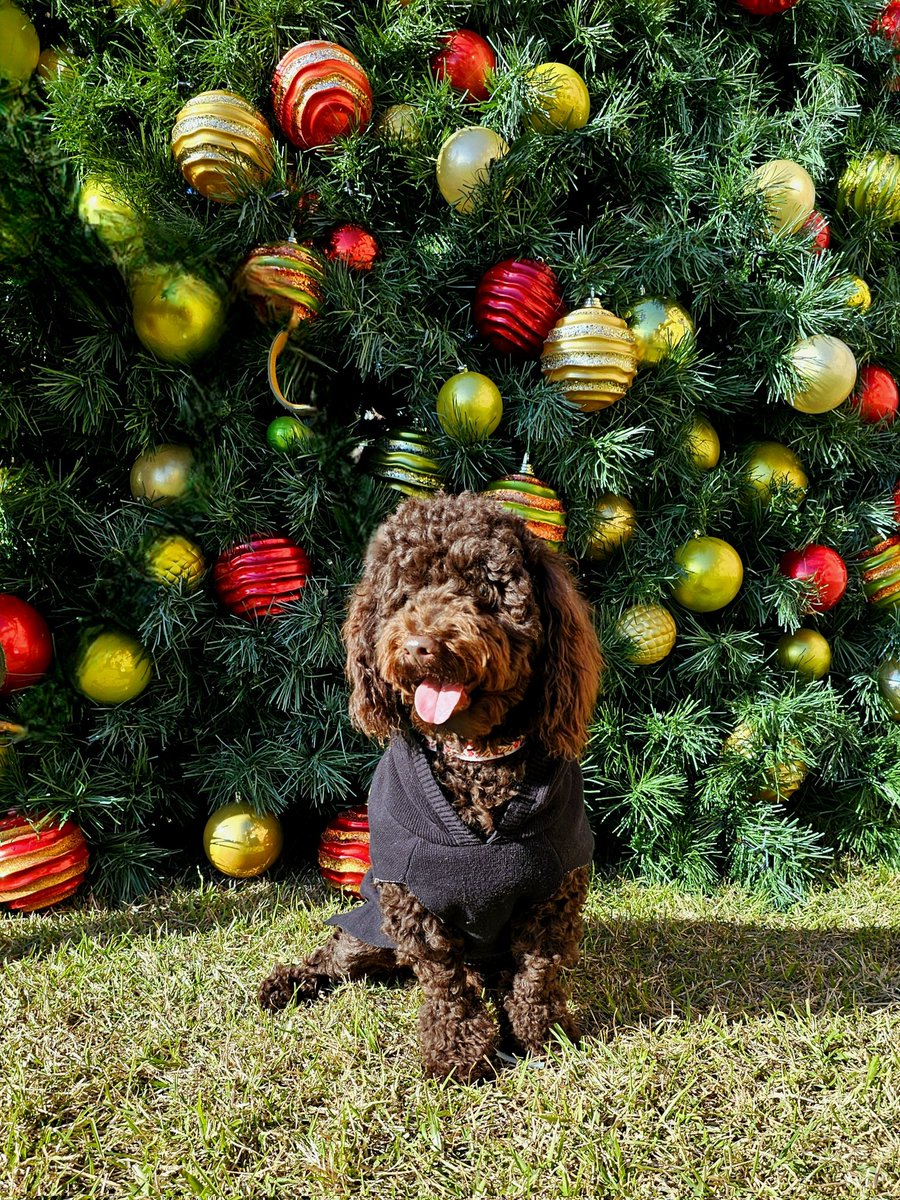 Jeremy Diamond tweet media