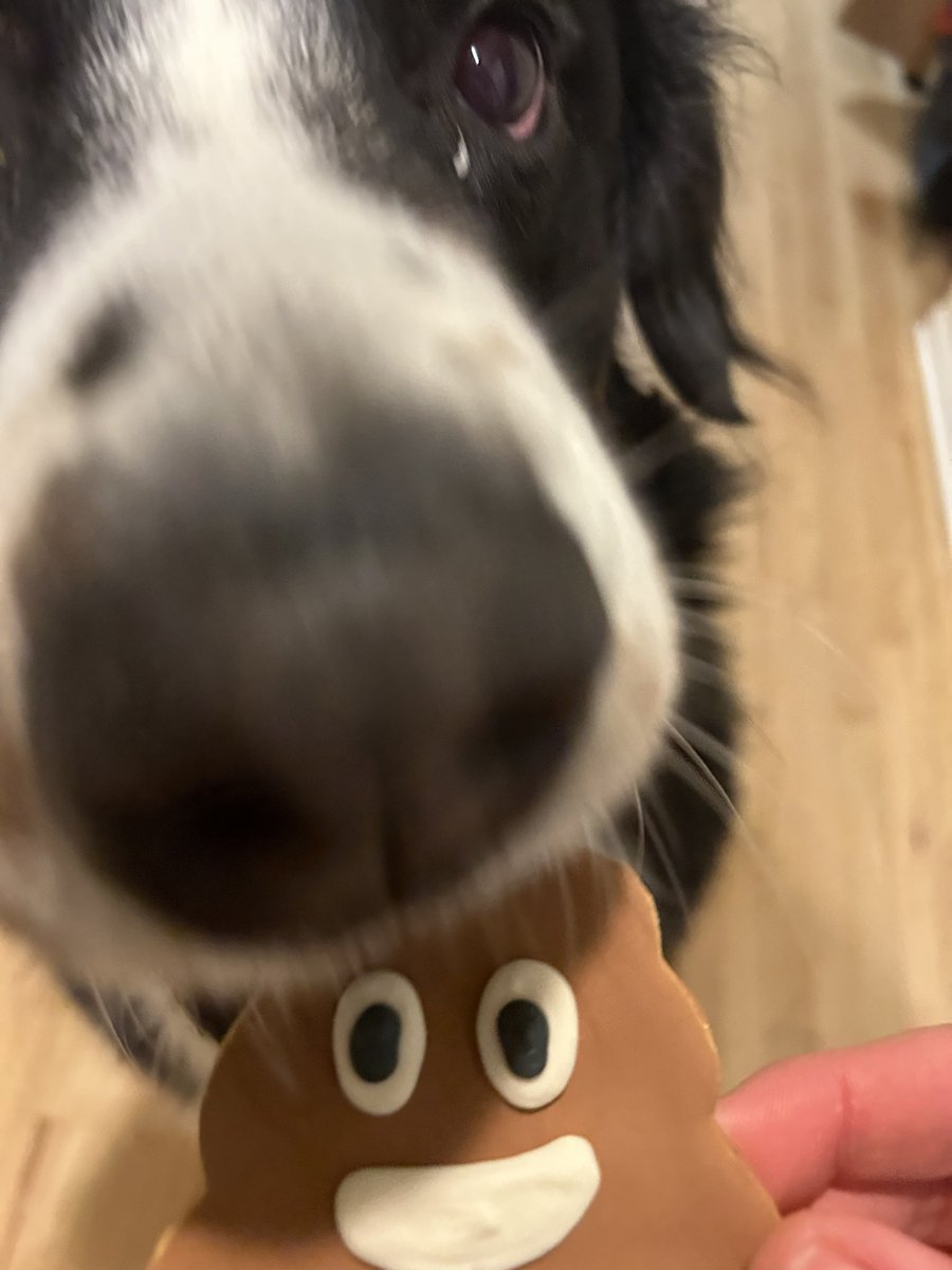 MrSammySnow tweet picture