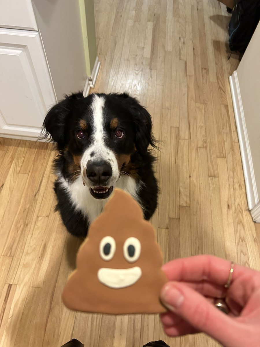 MrSammySnow tweet picture