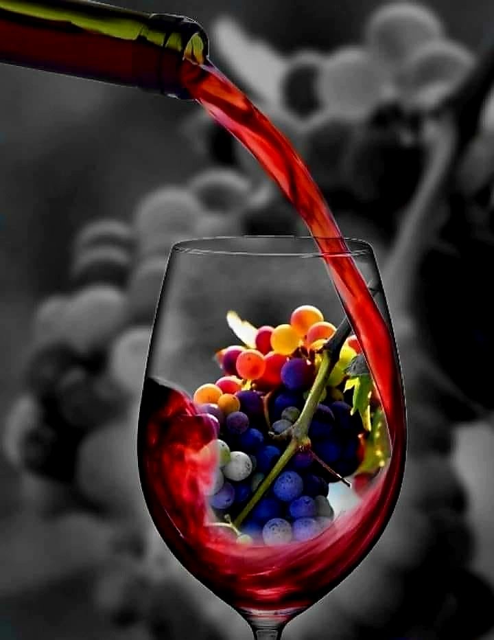 Wonderful Picture for the Weekend 🍇🍷
