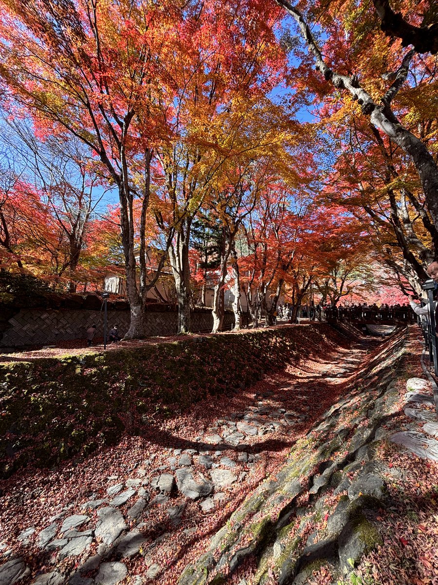 ゆずのすけ tweet media