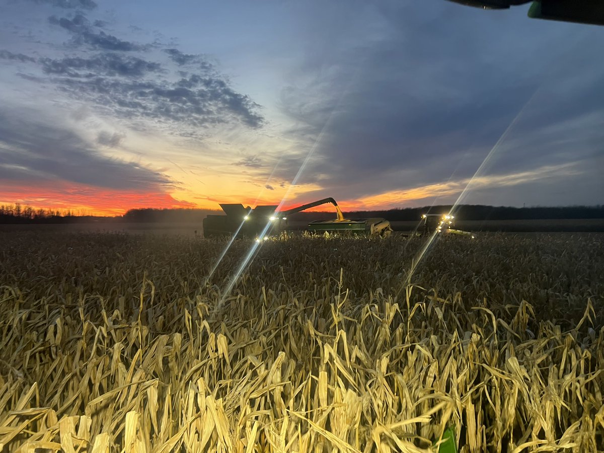 Despite the rumours. Elevator is open this weekend receiving wet corn.  Beans by appointment 

If you never worked with our grain team before and have questions drop by we are happy to help 

#geterdone