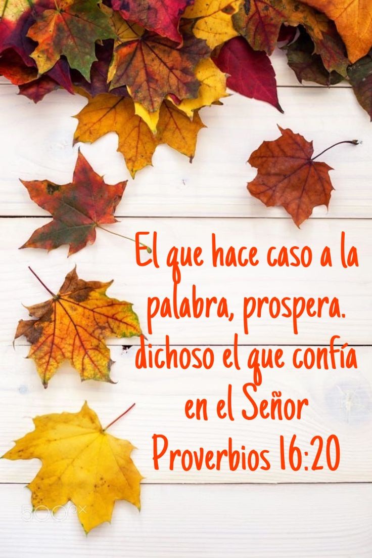 Sheylab10's tweet photo. Proverbios 16:20 RVR1960

El entendido en la palabra hallará el bien, y el que confía en Jehová es bienaventurado. https://t.co/lsId5ASGrA