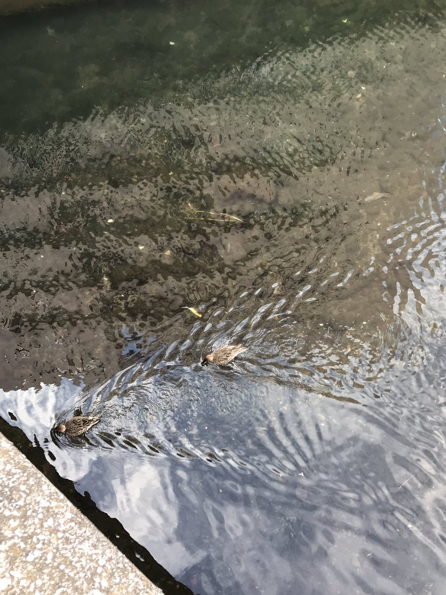 hitori_369's tweet photo. 前に進むから目的地に到着できるわけです。ビジネスも同じ https://t.co/ATujOz5NI2