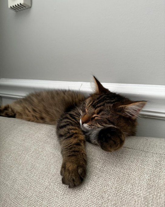 Thankful ☺️ https://t.co/97QiruNI66