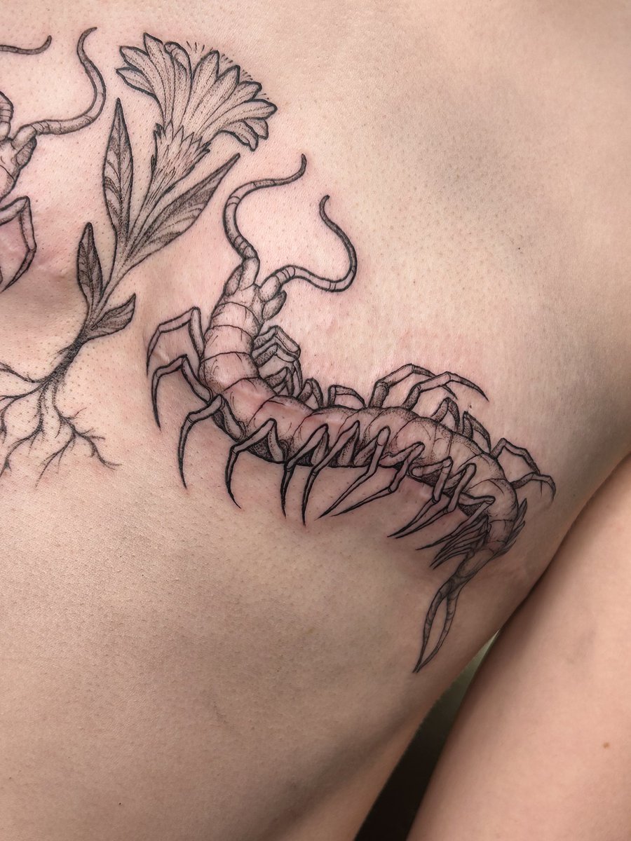 rabbitfoottat's tweet photo. Centipedes over top surgery scars with aster in the middle ❤️✨ https://t.co/P0N6qTQEML