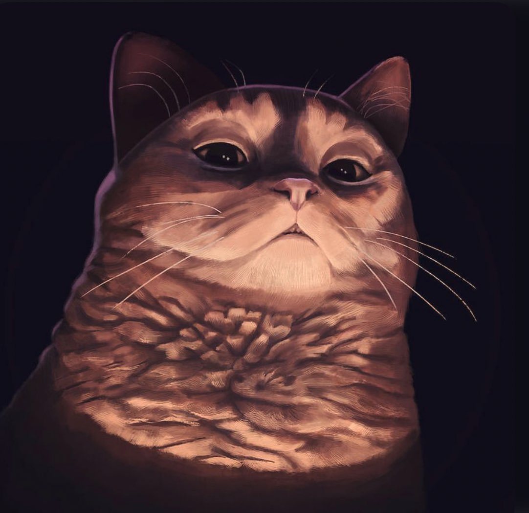 caseriley's tweet photo. Me when I just said I can’t eat another bite and my aunt says “oh yeah I forgot about the pecan pie!” https://t.co/q25jLgdog8