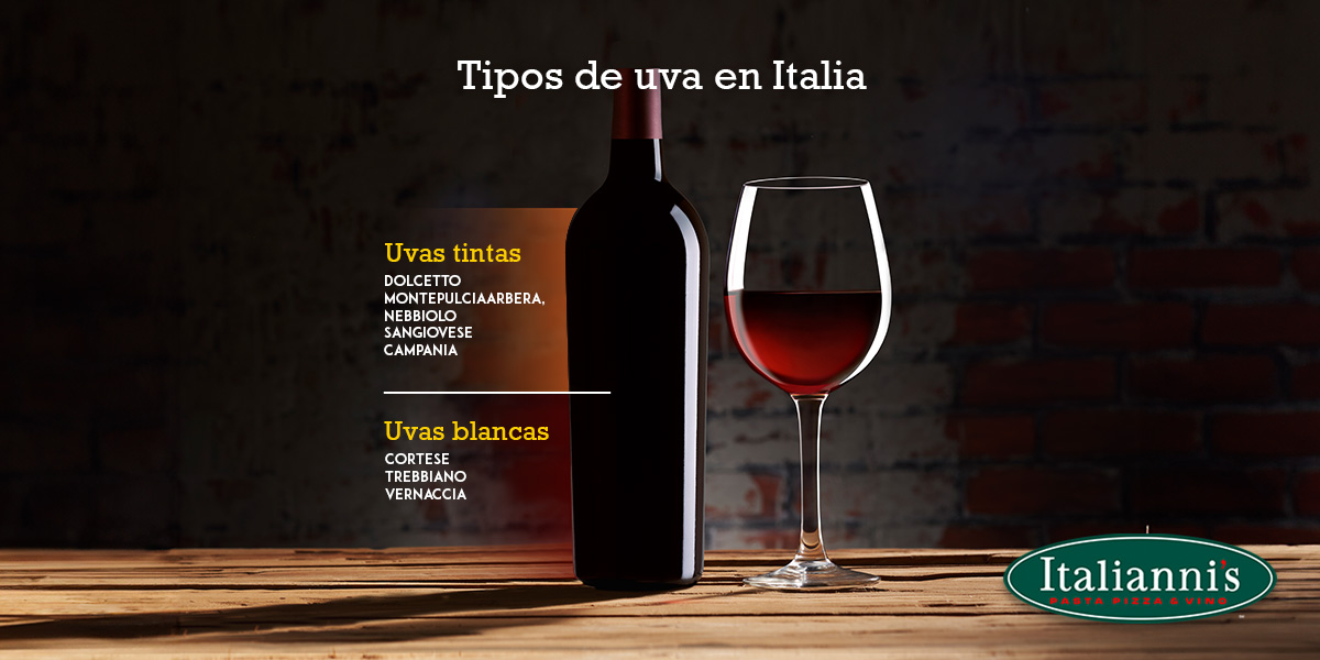 Sumérgete en el mondo italiano! Descubre sus diferentes tipos de uvas y los vinos que salen de ellas🥂

#culturaitaliana #italiabella #ItaliannisMx